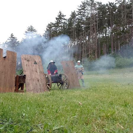 Penzion Litohlavy 17 - Na Samote U Lesa Kraluv Dvur ภายนอก รูปภาพ