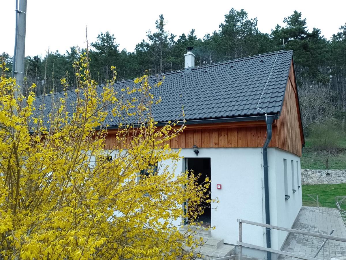 Penzion Litohlavy 17 - Na Samote U Lesa Kraluv Dvur ภายนอก รูปภาพ
