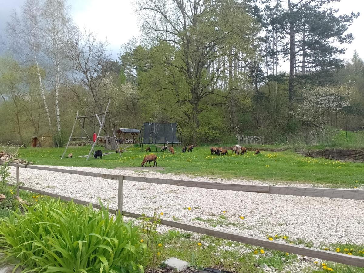 Penzion Litohlavy 17 - Na Samote U Lesa Kraluv Dvur ภายนอก รูปภาพ