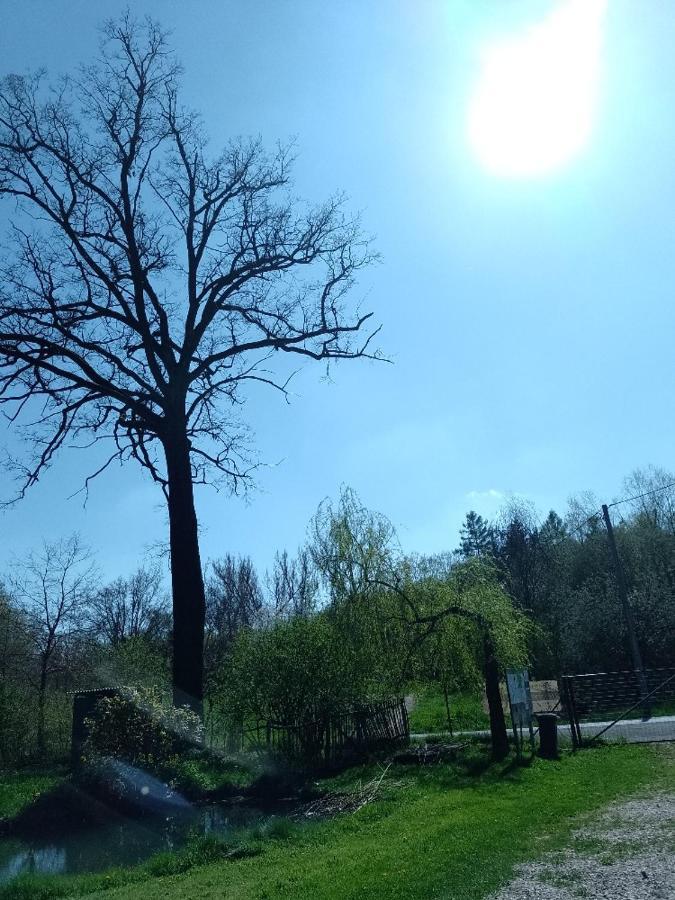 Penzion Litohlavy 17 - Na Samote U Lesa Kraluv Dvur ภายนอก รูปภาพ